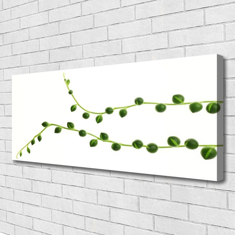 Tableau sur toile Floral Plante Ornementale 125x50 cm pour décoration murale de salon
