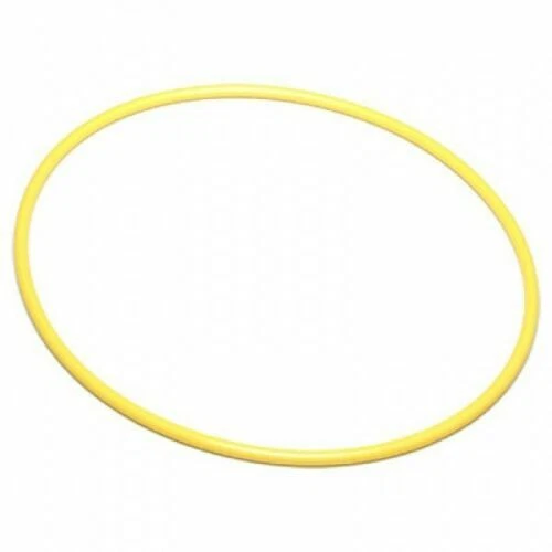 Carcasas submarinas Canon para cámaras de vídeo y fotográficas