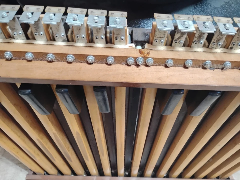 Conjunto de pedal de bajo vintage de órgano de 25 notas! ¡HAZ OFERTA! ¡GRAN PEDAL DE FUNCIONAMIENTO! Foto 3 de 4