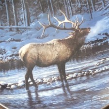 Bradford Exchange Wild Wings Untamed Wilderness Porcelain Collector Plate