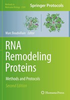 Marc Boudvillain | RNA Remodeling Proteins | Taschenbuch | Englisch (2021) | Xiv