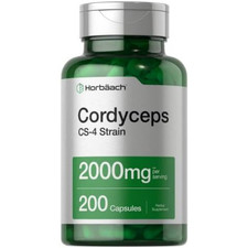 Cordyceps Sinensis Capsules 2000mg 200 Ct Mushroom Supplement by Horbaach
