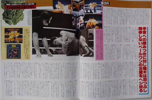 Weekly Gong 7/25/1991 Pro Wrestling Magazine - Picture 11 of 18