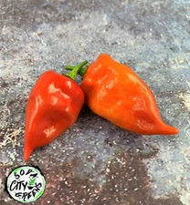 Habanada Heatless Habanero Pepper Seeds