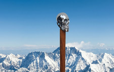 Chrome Skull Walking Cane   Ornate Brass Handle, Rosewood Shaft, Victorian Style