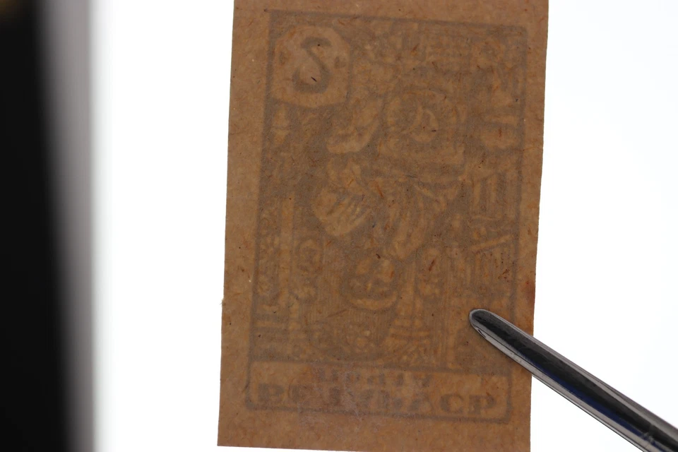 贝拉鲁斯 1921 俄罗斯内战当地邮政 MH JUMBO MARGINS PERF IMPERF 2P — 第 3/4 张图片