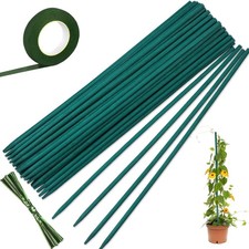 Pflanzenstäbe 50 Stück Pflanzenstützen mit Floristenband für Haus Garten Klet...