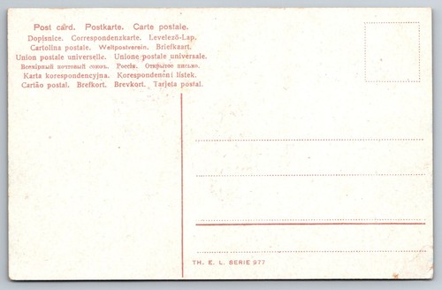 Vintage St Saint Bernard Puppies Postcard - M2 - Picture 2 of 2