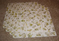 NRN Designs Single Sided Paper(4) ~ Ivy Coordinate w/Graduation