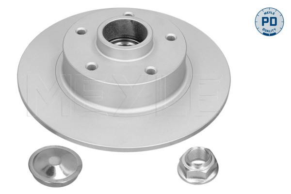 Meyle Bremsscheiben Hinterachse Voll Ø260Mm FüR Renault ScéNic III JZ0/1_-image
