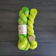 Emma's Yarn Practically Perfect Sock Lot : March 25 400yd / Just Add Salt 200yd