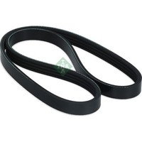 INA FB 4PK800 Keilrippenriemen FüR Honda Smart KIA Fiat Lexus Daihatsu Opel