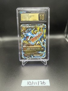 Pokemon Wild Blaze | eBay