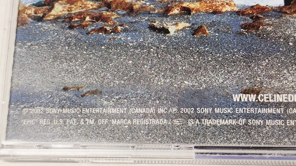 Celine Dion Lot of 4 CDs: a new day is come, Falling Into You, lets talk about Foto 3 de 4