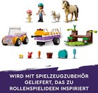 Bild 11 von 12