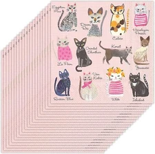 Boston International IHR 3-Ply Paper Napkins, Cocktail, Cool Cats