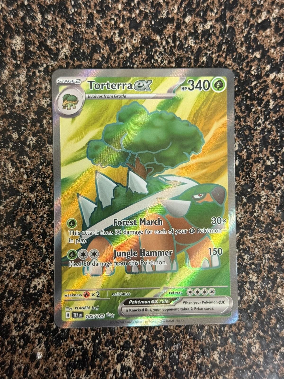 Torterra ex 185/162 - Pokemon SV05: Temporal Forces Full Art Ultra Rare Holo NM
