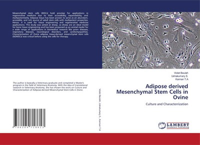Violet Beulah (u. a.) | Adipose derived Mesenchymal Stem Cells in Ovine | Buch