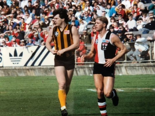 Hawthorn Football Club 1978-1992 VFL- AFL era HAWKS jumper sponsor patches set - Picture 15 of 15