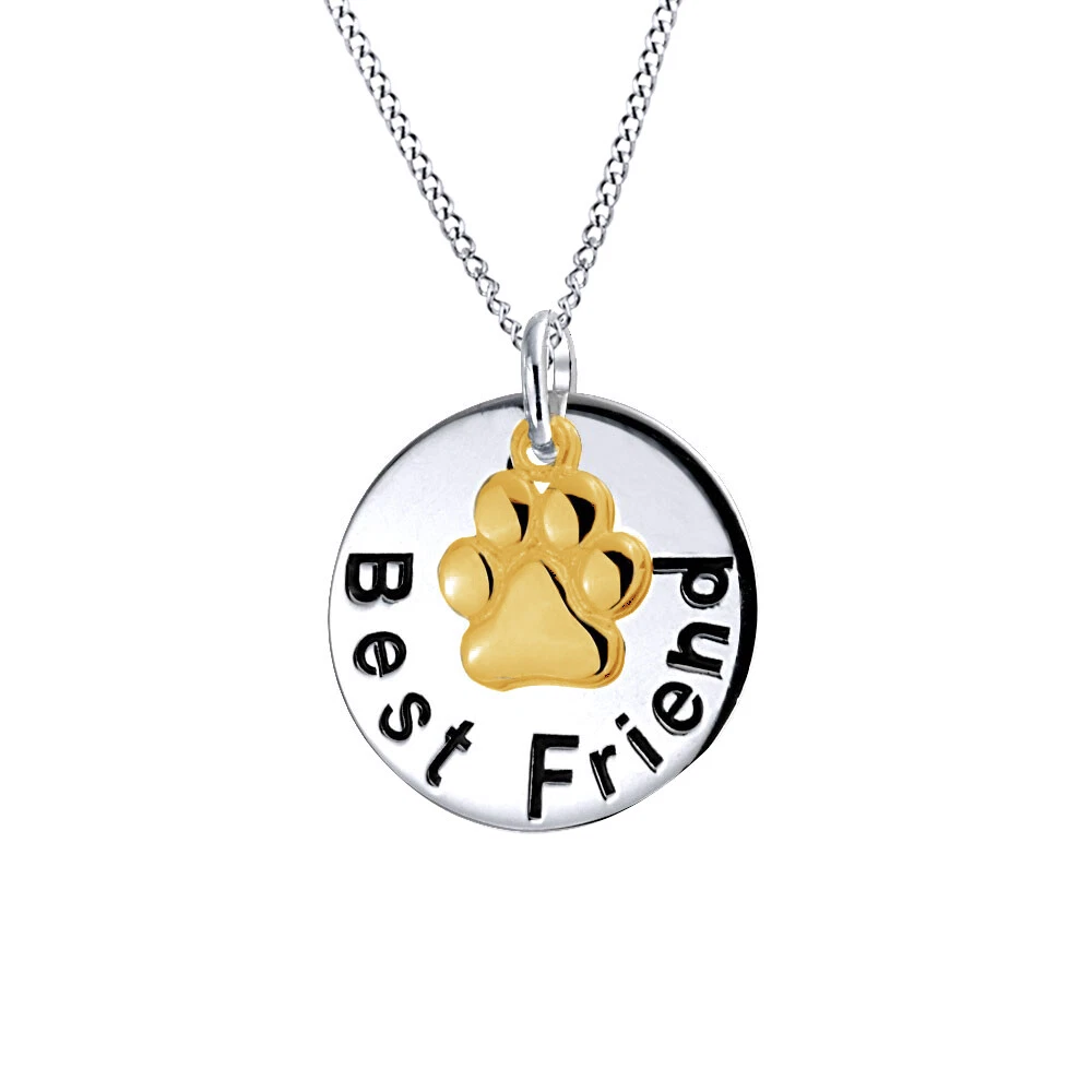 Dog Paw Charm Circle Friend Message 14K White Gold Plated Pendant