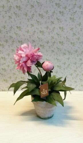 Blim Campana Vaso di Fiori, Marrone Scuro, 39 cm | WhichOne