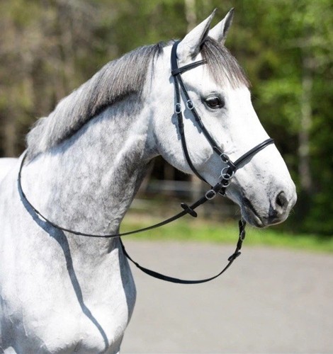 Horze Leder Pferd gebisslose Trense - schwarz - Bild 3 von 9