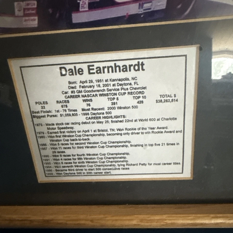 Фотоколлаж и статистическая табличка Дейла Эрнхардта «Запугиватель» No3 в рамке NASCAR - Изображение 2 из 3