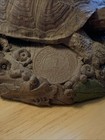 Bild 8 von 8
