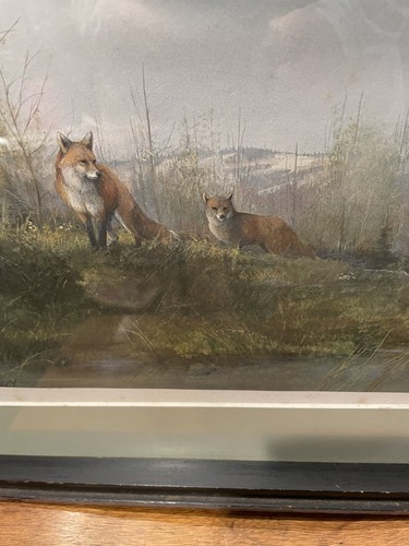 Wildlife Painter Tom Sander - color Print/ Lithograph - Picture 2 of 6