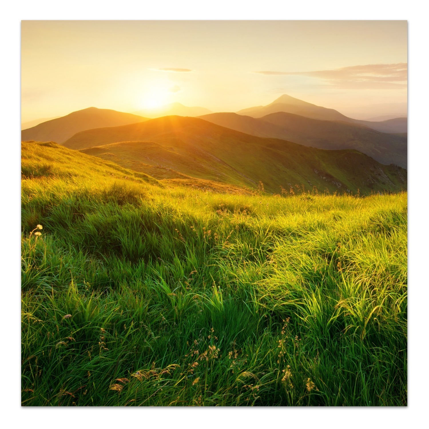 Immagine di di di vetro montagne nel periodo estivo di Dekoglas in V. Dimensioni di vetro pezzo unico con immagine 15dfab Immagine di di di vetro montagne nel periodo estivo di Dekoglas in V. Dimensioni di vetro pezzo unico con immagine 15dfab