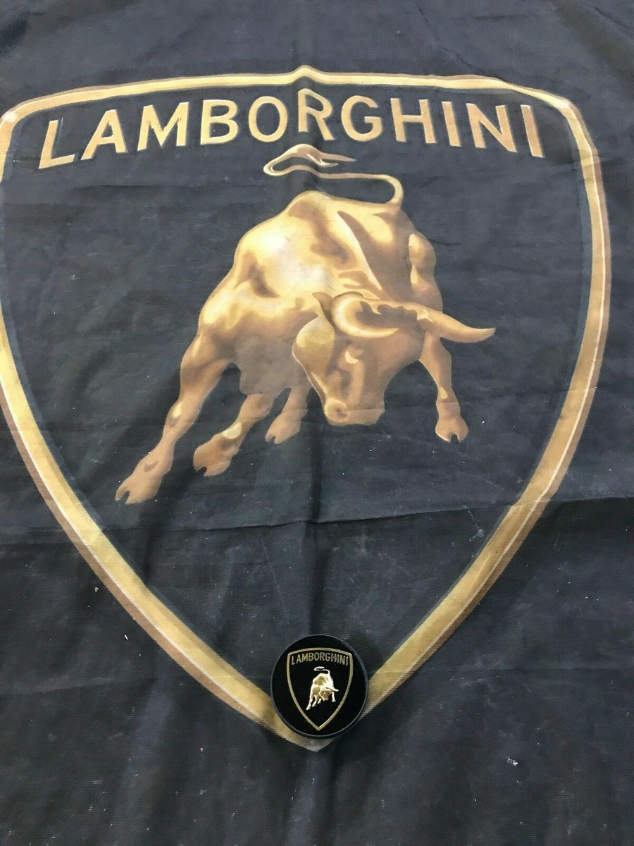 LAMBORGHINI AVENTADOR GALLARDO MURCIELAGO WHEEL CENTER CAP OEM