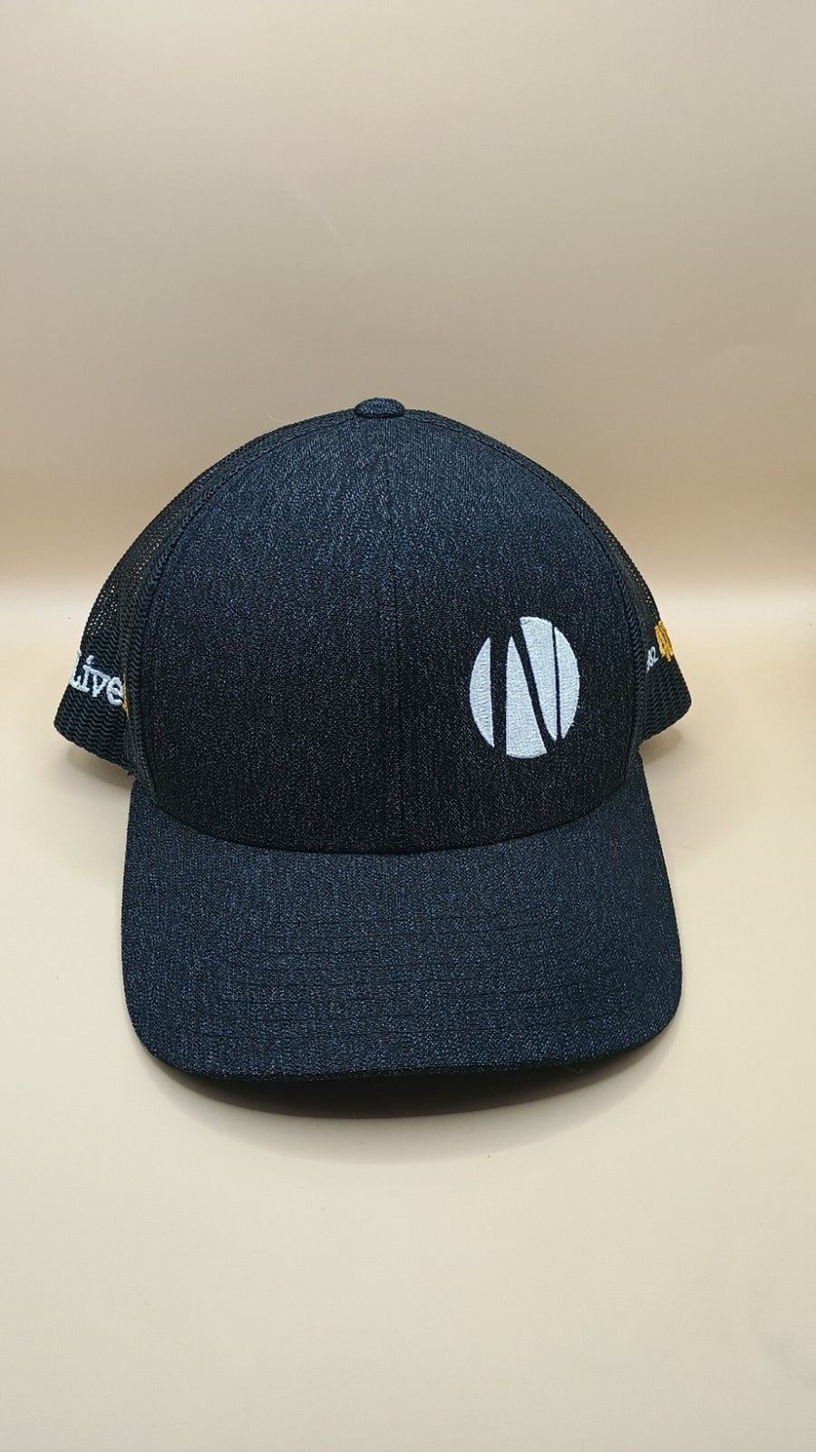 Picture 1