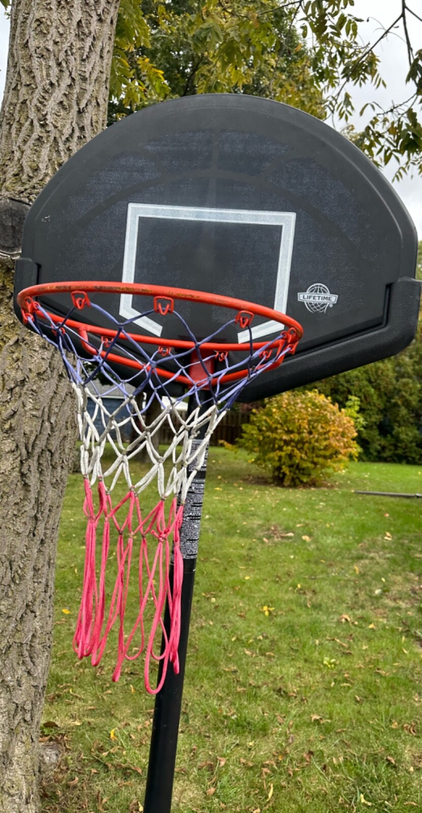 Basketball Hoop Backboard Youth Court Goal Pool Adjustable Height eBay