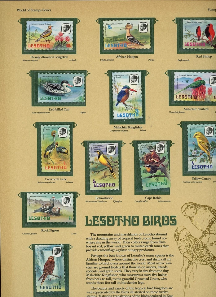 Sociedad Comercial Postal Mundo de Estampillas Lesotho Birds Foto 2 de 3