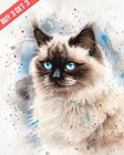 Himalayan Cat with Blue Eyes Cat Watercolor Painting Print 8x10