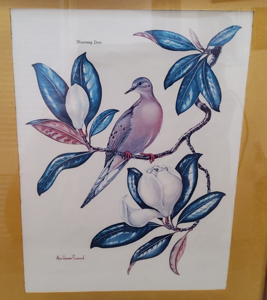 Picture 2 of 4