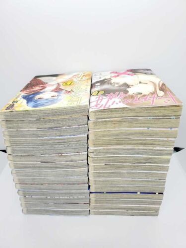 Novia doméstica 1-28 Juego completo manga cómic japonés Kei Sasuga usado - Imagen 3 de 11
