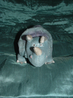 Picture 2 of 5