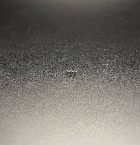 Genuine Longines Watch Part 705 Caliber 702 Escape Wheel NOS - Picture 3 of 4
