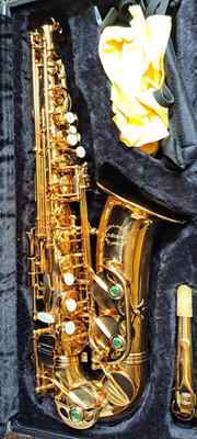 Chateau CAS-22VLGL Alto Saxophone w/ Hard Shell Case Beautiful!