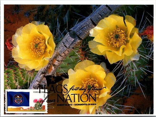 Dr Jim Stamps Maximum Card Utah State Flag Fdc Flags Of Our Nation