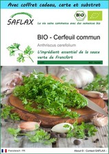 SAFLAX Kit cadeau - BIO - Cerfeuil commun - 800 graines - Anthriscus