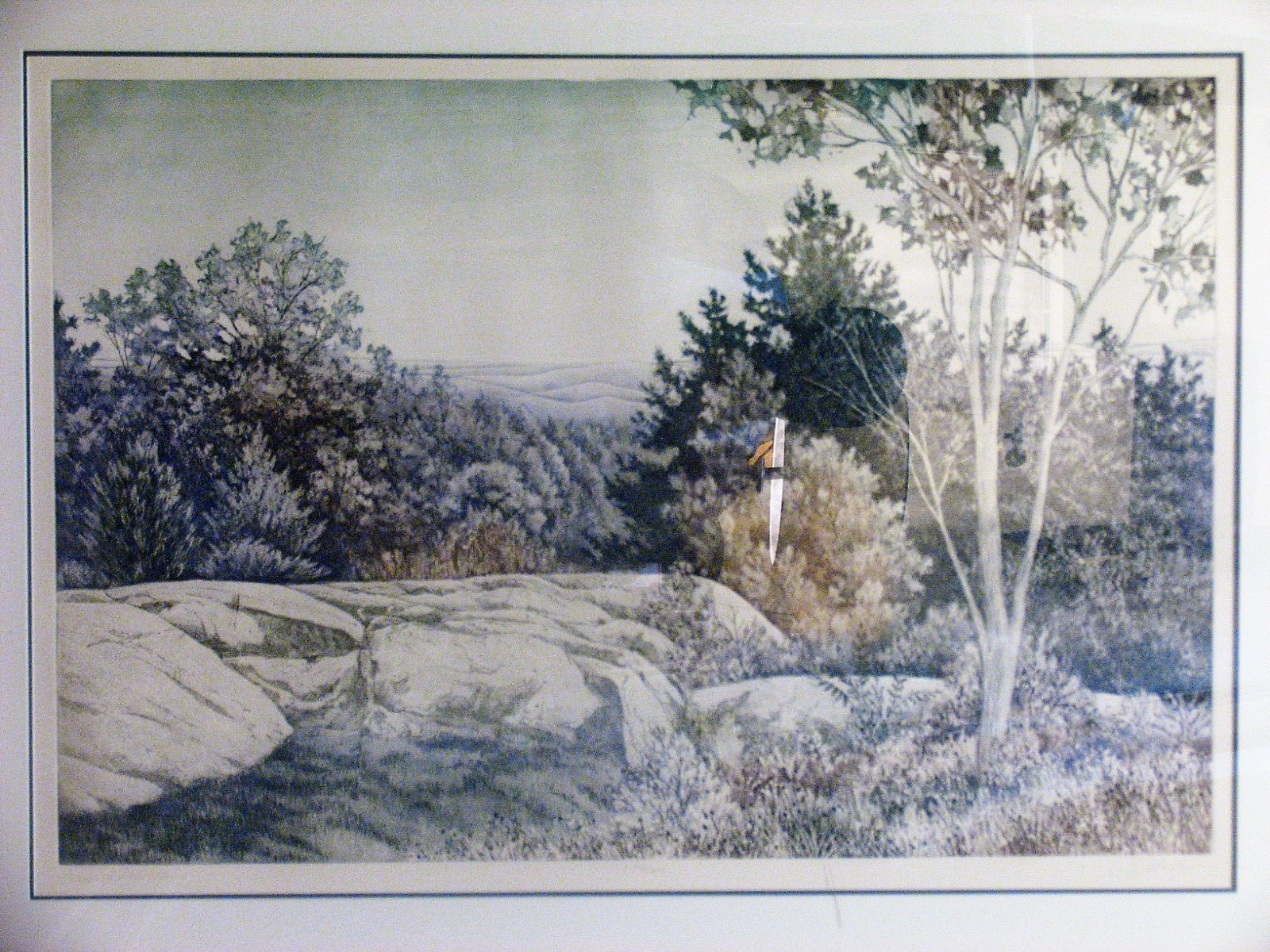 Picture 1 of 11