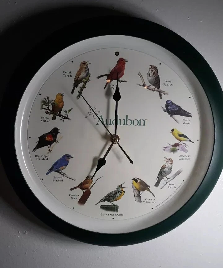 Audubon Reloj Pájaro Cantando Sonidos Sociedad Nacional 13 1/4" Pared Verde FUNCIONA DE COLECCIÓN Foto 3 de 4