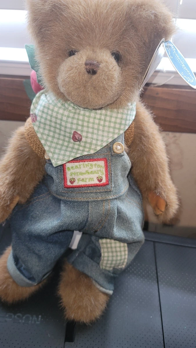 Beary bearington on sale