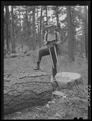 Grant County Oregon Malheur National Forest Lumberjack Scales Log 1942
