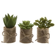 3 künstliche Sukkulenten 12cm