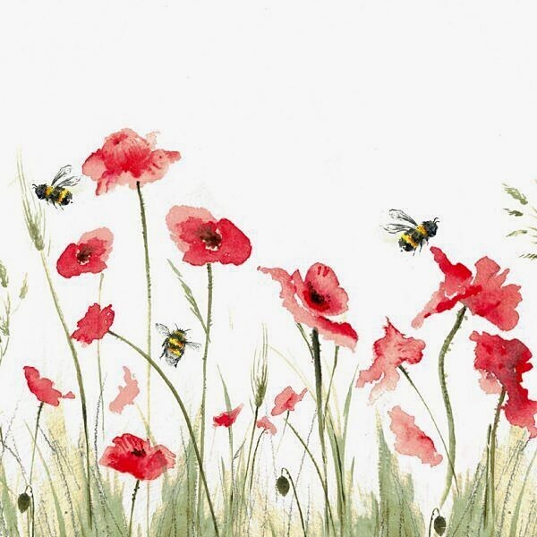 'Poppies and Bumbles' Bee Plantable Seed Card Sarah Reilly Love Country Birthday