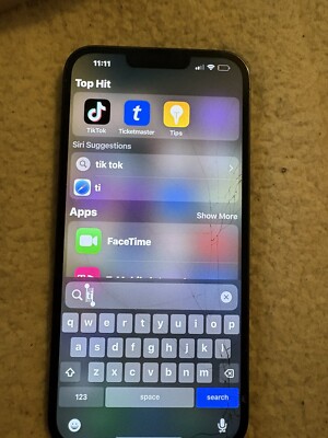 iPhone 13 Pro Max With TikTok 