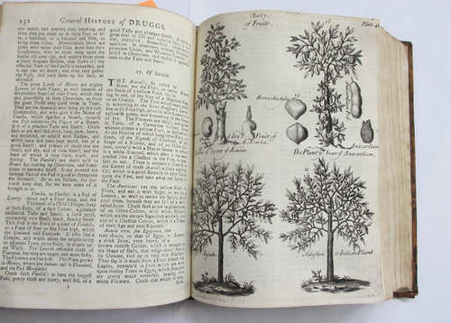 Pierre Pomet. A Compleat History of Druggs. Second edition, 1725. - Picture 7 of 12